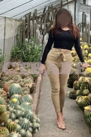 Get the contact number for the independent VIP profile in Darjeeling